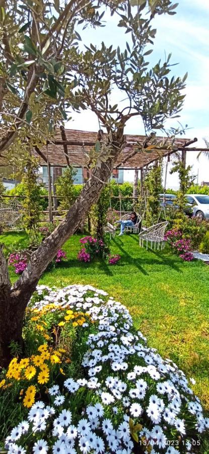 La Villa Degli Dei - Guest House Castellammare di Stabia Exteriör bild