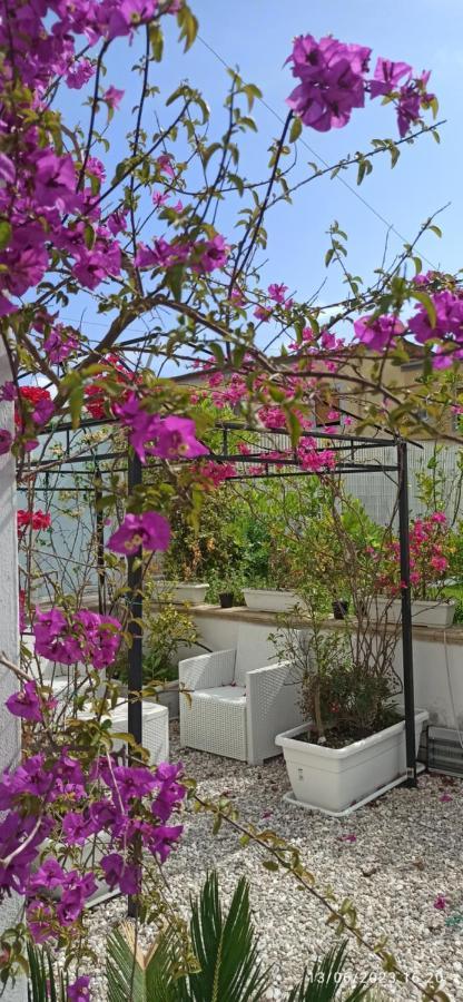 La Villa Degli Dei - Guest House Castellammare di Stabia Exteriör bild