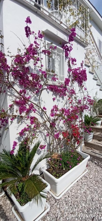 La Villa Degli Dei - Guest House Castellammare di Stabia Exteriör bild